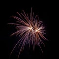 Fireworks in the night sky Royalty Free Stock Photo