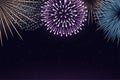 Fireworks on night sky background. Royalty Free Stock Photo