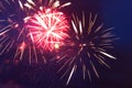 Fireworks in the night sky. Independence Day, 4th of July, Fourth of July or New Year Royalty Free Stock Photo