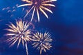 Fireworks in the night sky. Independence Day, 4th of July, Fourth of July or New Year Royalty Free Stock Photo