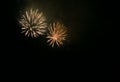 Fireworks in the night sky