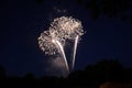 fireworks in the nightsky or late evening blue hour