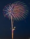 Multiple Fireworks burst in the night sky with light trails Royalty Free Stock Photo