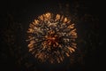 Fireworks particles at night. Realistic colorful pyrotechnics salute show isolated on dark background. Royalty Free Stock Photo