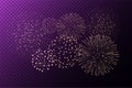 Fireworks on purple transparent background. Independence day concept
