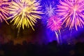 Fireworks pyrotechnics celebration party event festival holiday or New Year background - Colorful firework and silhouette of