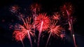 Fireworks pyrotechnics celebration party event festival holiday or New Year background panorama - Red firework on dark night sky Royalty Free Stock Photo