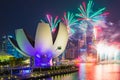 Fireworks of SG50 celebrations in Marina Bay, Singapore.