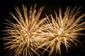 Fireworks in the shape of two yellow-orange palm trees