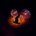 Fireworks show with silhouette of a flying bird - London