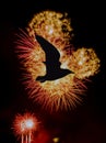 Fireworks show with silhouette of a flying bird - London