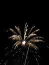 Fireworks Show VIII Royalty Free Stock Photo