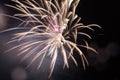 Fireworks in sky twilight. Fireworks display on dark sky background. Independence Day, 4th of July, Fourth of July or Royalty Free Stock Photo