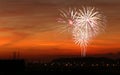 Fireworks in the twilight sky Royalty Free Stock Photo