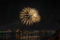 Fireworks of yellow tassels similar to the leaves of a palm tree