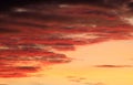 Firey red clouds sunset, golden yellow sky behind Royalty Free Stock Photo