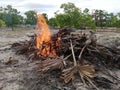 firing the old palmyrah leaves