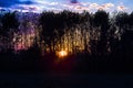 Firing orange sunset in Po river woods forest, Emilia Romagna, Italy Royalty Free Stock Photo
