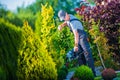 Firing Up Hedge Trimmer Royalty Free Stock Photo