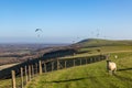 Firle Beacon in the South Downs on a Sunny Winters Day Royalty Free Stock Photo