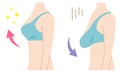 Firm and sagging breasts illustration. womenÃ¢â¬â¢s beauty body care concept