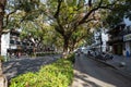 Wutong trees dominate Baita East Road, Gusu District Suzhou Royalty Free Stock Photo