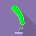 Firmikits icon, flat style