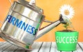 Firmness helps achieving success - pictured as word Firmness on a watering can to symbolize that Firmness makes success grow and