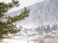 Firry snow branches on the winter russian village background