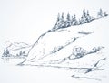 Firs on hill above river. Vector drawing