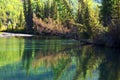 Firs and small lake Royalty Free Stock Photo