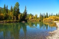 Firs and small lake. Royalty Free Stock Photo