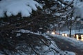 Firs in the snow and cars in the night Royalty Free Stock Photo