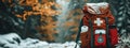 first aid kit on the background of the forest. Selective focus Royalty Free Stock Photo