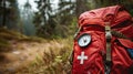first aid kit on the background of the forest. Selective focus Royalty Free Stock Photo