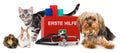 First aid pets idolated on white background Royalty Free Stock Photo
