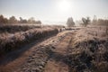 First autumn frost on the road. Road in Autumn. A colourful curving autumn road. Morning autumn landscape