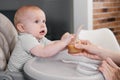 Mother feeding with vegetables or fruits pure baby on highchair Royalty Free Stock Photo