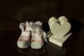 The first baby shoes Royalty Free Stock Photo