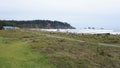 Flat green ocean landscape at La Push