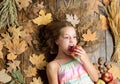 At first bite. Small girl likes the taste of apple fruits. Little girl enjoy eating apples. Cute girl with ripe autumn Royalty Free Stock Photo