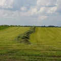 First cutting hay field in NYS farmland