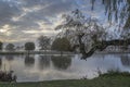 First day of December misty morning Royalty Free Stock Photo