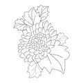 First drawing for kids with dahlia flower, simple dahlia tattoo, dahlia flower line art.