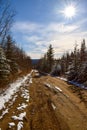 First fall on the mountain in canadian forest, province of quebec Royalty Free Stock Photo