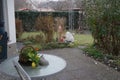 The first falling snow in the garden in December. Berlin, Germany