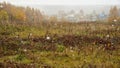 First falling snow on village background in autumn