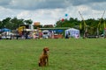 The first festival of hunters in the village Perekhrest Royalty Free Stock Photo