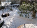 First fresh snow at sunny winter day in a garden with a park in background  in Cologne germany 8th december 2012 Royalty Free Stock Photo