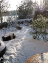 First fresh snow at sunny winter day in a garden with a park in background  in Cologne germany 8th december 2012 Royalty Free Stock Photo